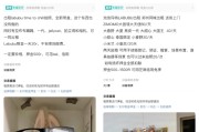 事业意思闲鱼：LABUBU搜索量环比上涨1000%，供不应求下现租赁新形式