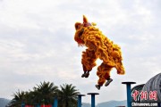 事业意思（文化中国行）壮乡狮舞闯南洋：脚踏“云桩” 饮誉海内外
