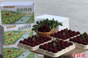 事业意思高速赋能产业升级：一条“杨梅路”的致富密码