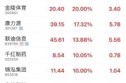 事业意思“苏超”爆火！300651，“20cm”涨停