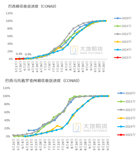 棉花：矛(🌷)盾在解决中，但效果有限